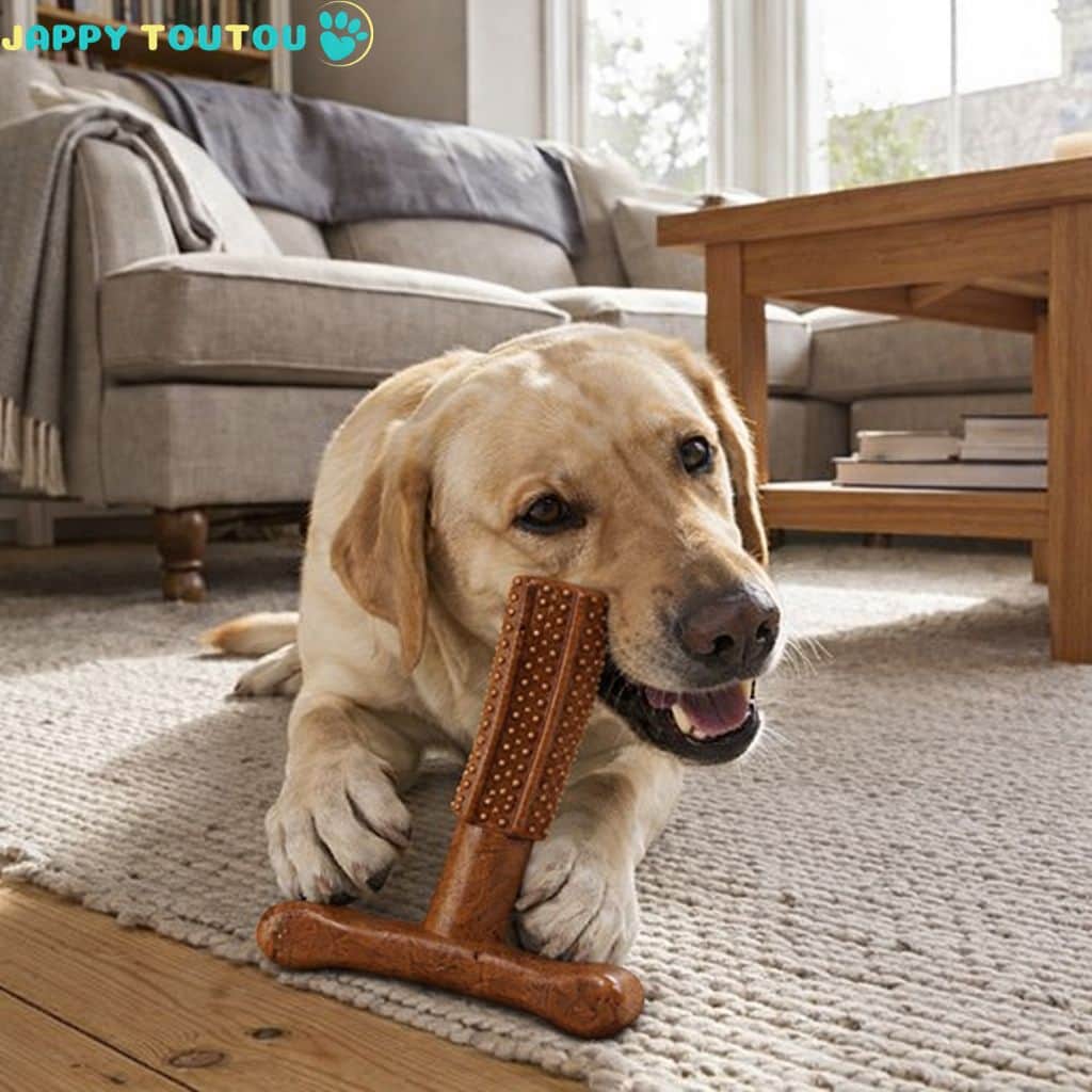 Jouet indestructible pour Chien • JappyWildBite™ - Jappy Toutou