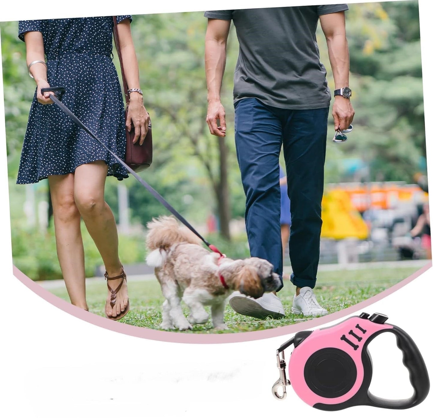 Laisse chien : La Couleur Parfaite pour Vos Aventures - Jappy Toutou