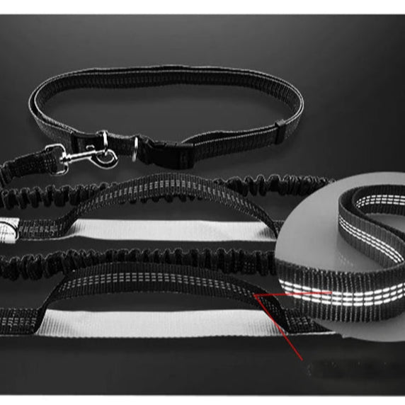 Laisse chien : FreeHand™ La Solution main libre Idéale pour les Promenades Actives - Jappy Toutou