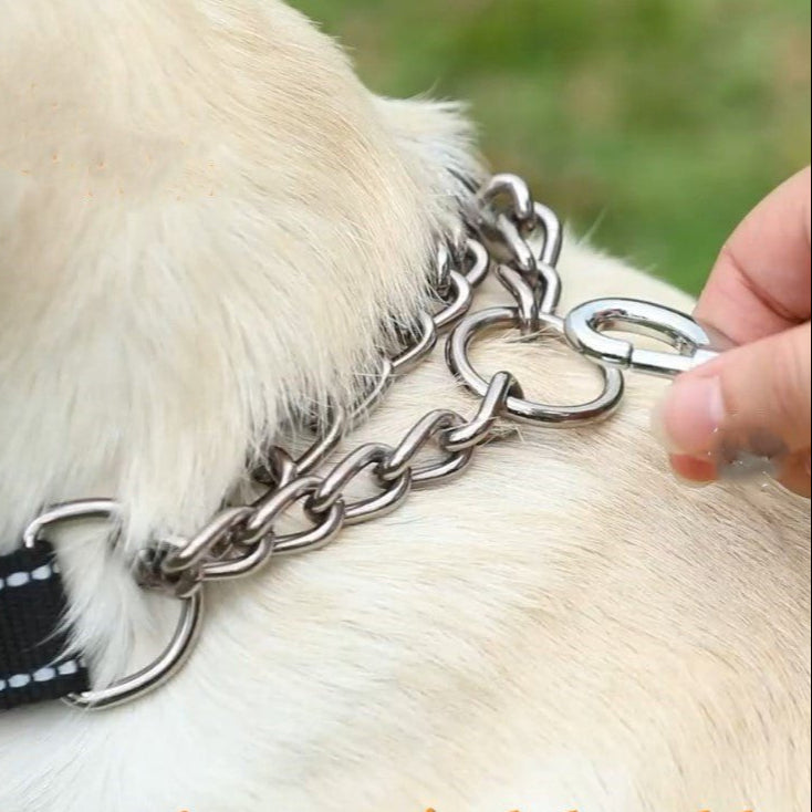 Laisse pour Chien Longue Couleur Pastel : Liberté et Sécurité - JappyToutou.com