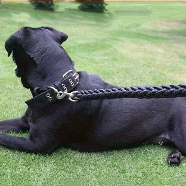laisse pour chien noir fait de nylon tressé pour gros chien www.jappytoutou.com