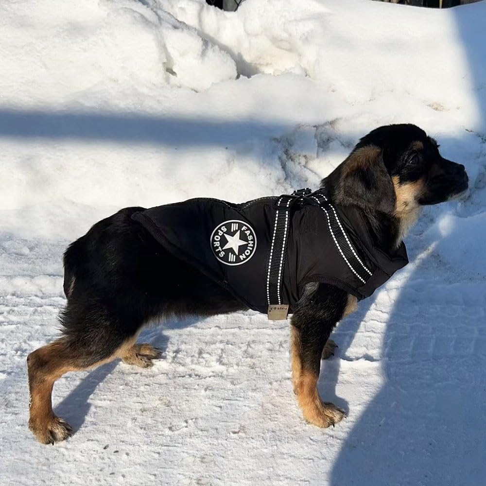 Manteau Chien: Design, confort, sĂ©curitĂ©; Harnais intĂ©grĂ© pour son Bien - ĂȘtre - www.JappyToutou.com