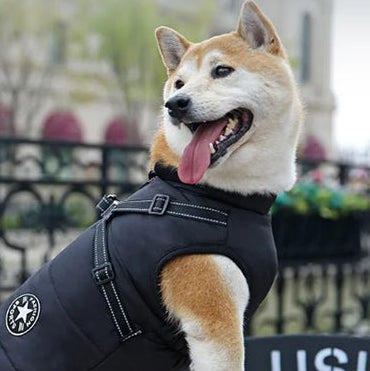 Manteau Chien: Design, confort, sécurité; Harnais intégré pour son Bien - être - JappyToutou.com