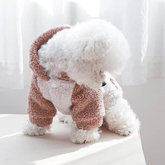 Pull pour chien | Confort & Style - Jappy Toutou