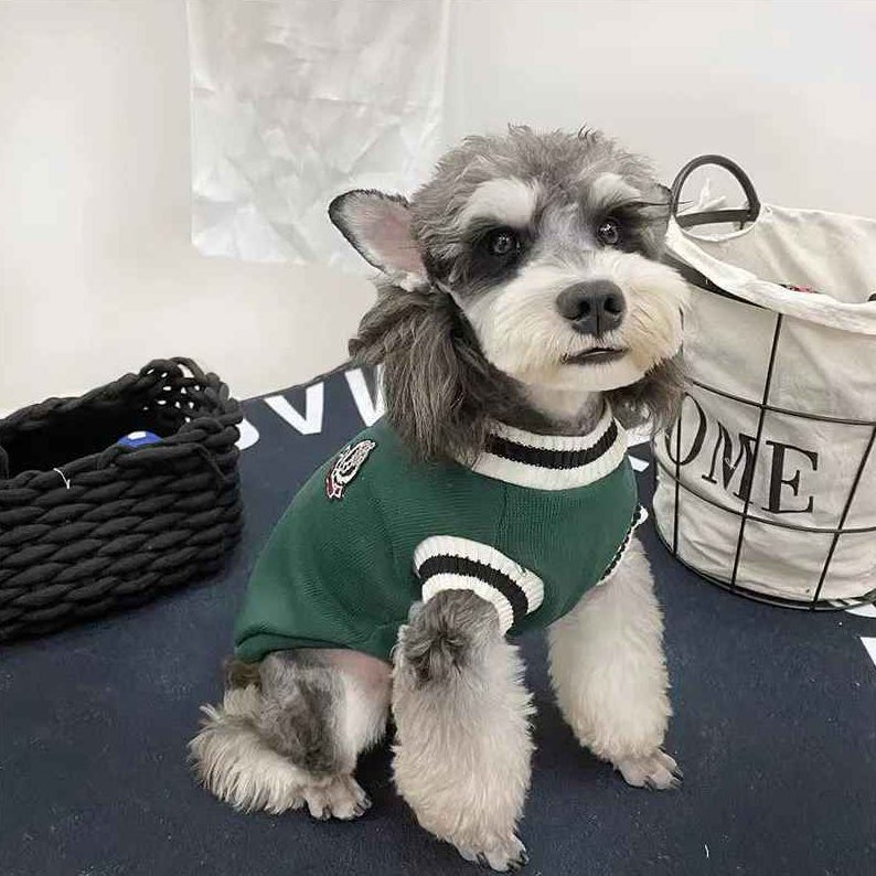 Pull pour Chien | Élégance JappyLook™ - Jappy Toutou