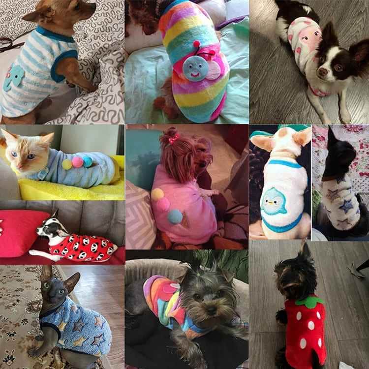 Pull pour Chien | JappyForCocoon™ - Jappy Toutou