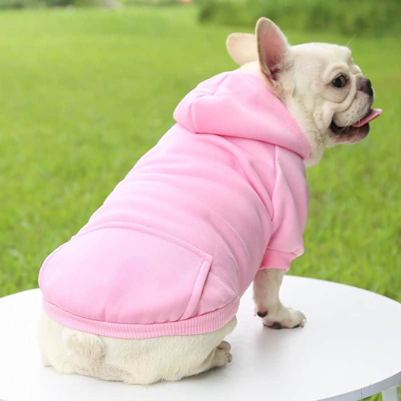 Pull pour chien | JappyMoodâą - Jappy Toutou