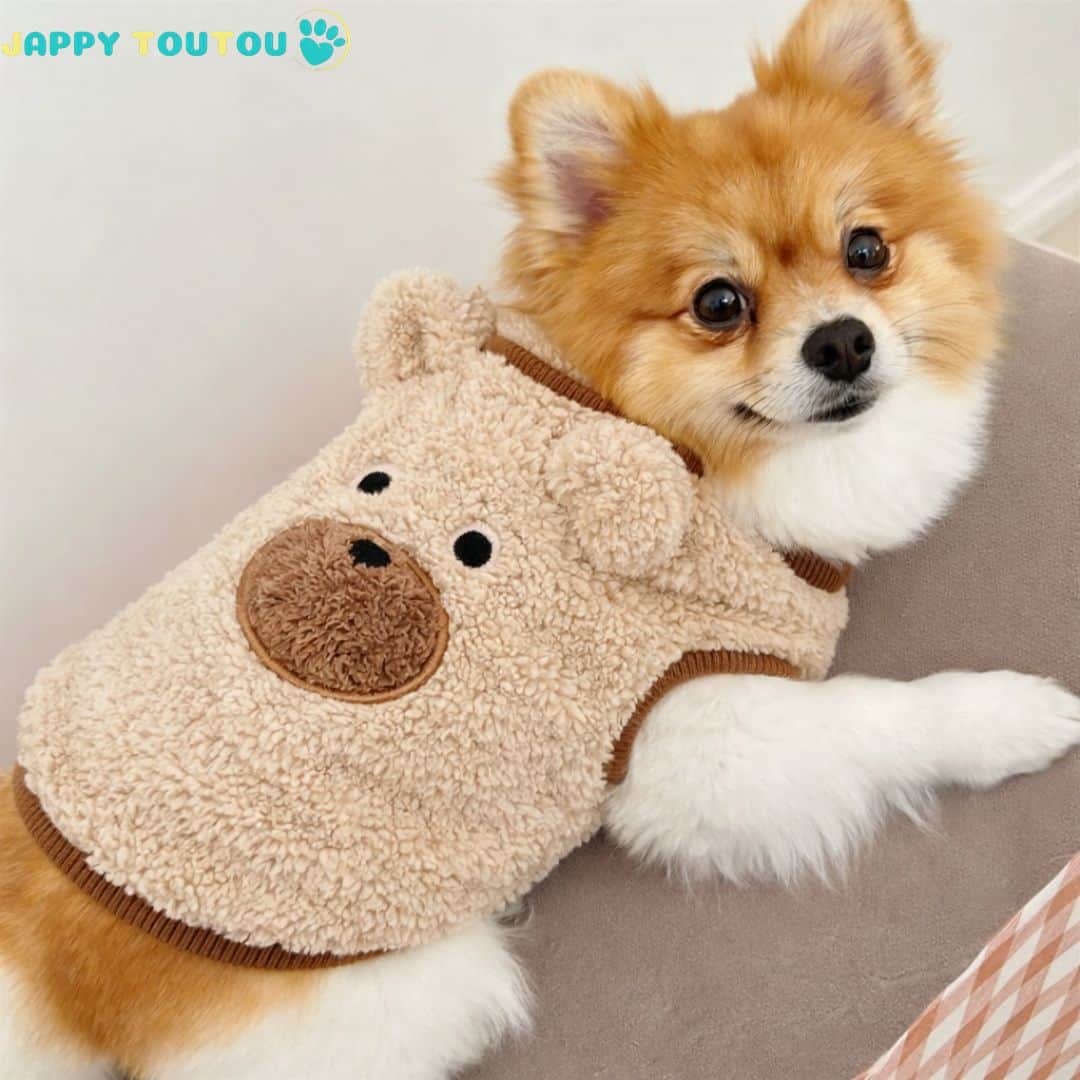 Pull pour Chien | JappySnugâą Ourson - Jappy Toutou