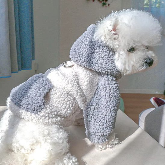 pull chien pour votre animal
Soulagement des douleurs articulaires et musculaires