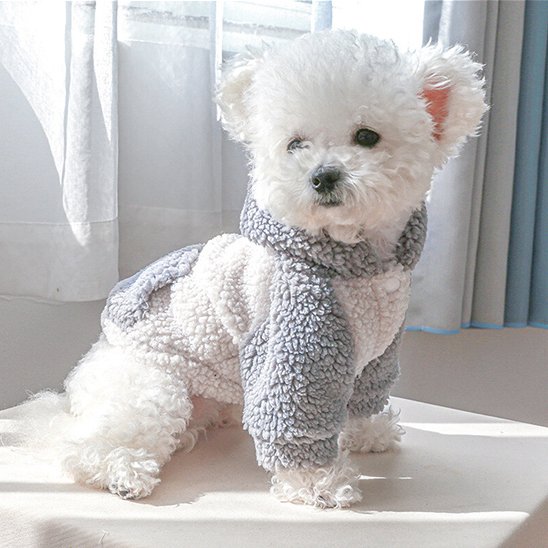 pull chien pour votre animal
Soulagement et confort