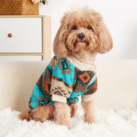 pull pour chien idéal : matiÚres et confort