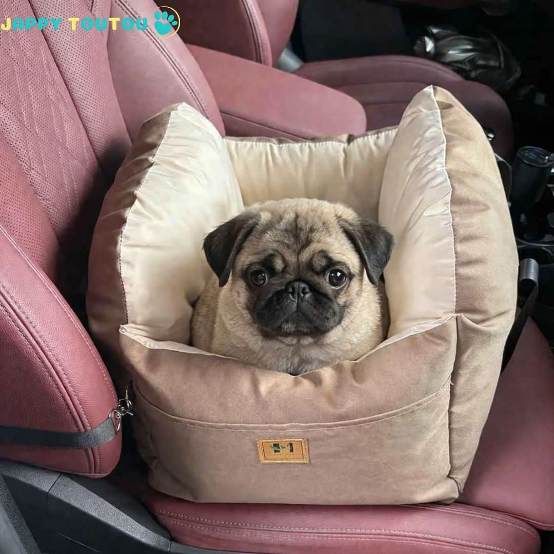 Siege auto pour chien | JappyCocon™ Confort - Jappy Toutou