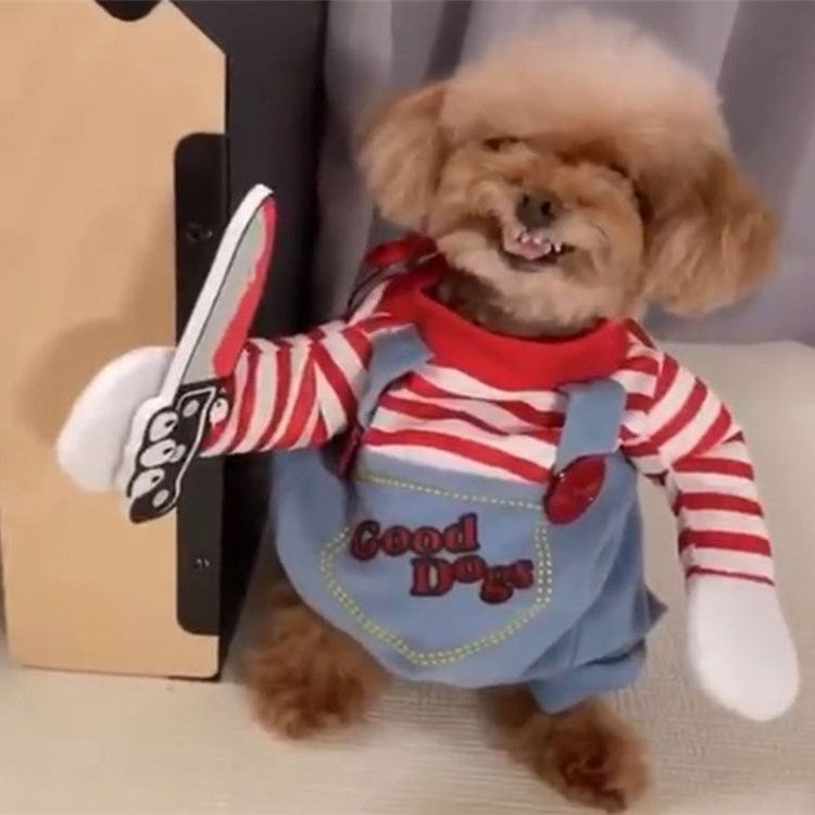 'une expérience réussie avec un vêtement pour chien / déguisement Halloween