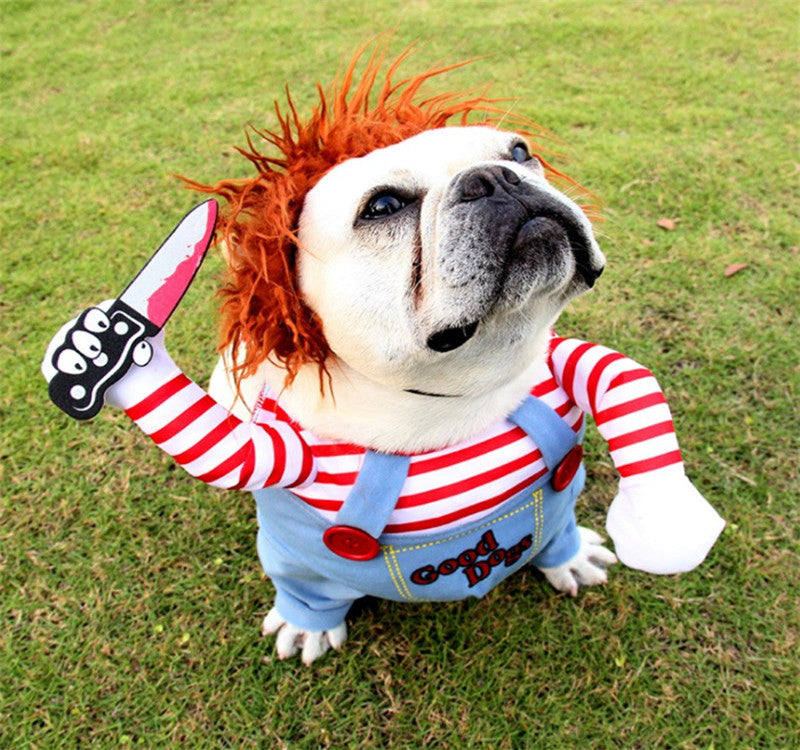 'une expérience réussie avec un vêtement pour chien / déguisement Halloween