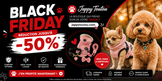 Black Friday chez Jappy Toutou