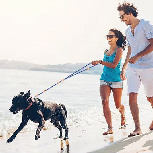 Mon chien tire en laisse : 5 erreurs courantes et comment les corriger