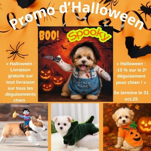 Les 10 meilleurs accessoires pour chien à Halloween 2026