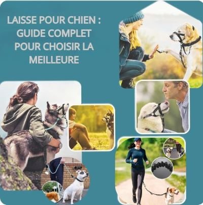 Laisse pour chien : Guide complet pour choisir la meilleure - Jappy Toutou