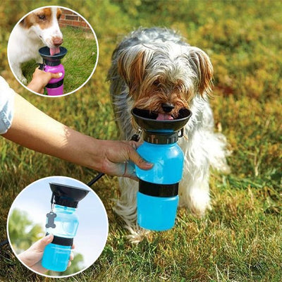 Gourde pour chien : l'indispensable pour l'hydratation de Toutou - Jappy Toutou