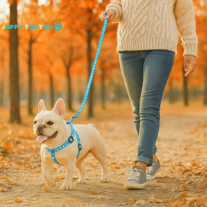 Harnais pour petit Chien - Puppy Trot™