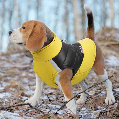 Vêtement chien | Douillette Toutes Saisons