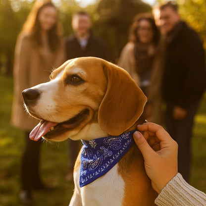 Bandana pour chien ; Transforme Votre Chien en Star