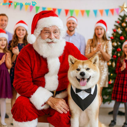 Bandana Chien | JappyStyle™ révolutionne les cérémonies