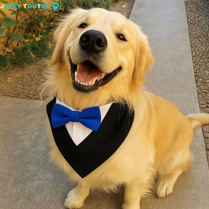 Bandana Chien | JappyStyle™ révolutionne les cérémonies