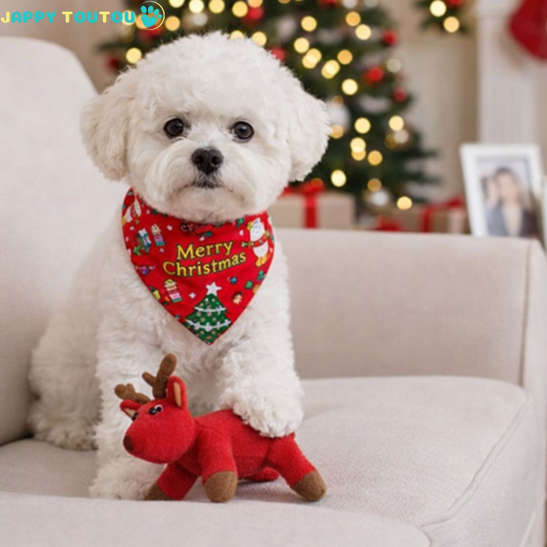 Bandana Chien | FestifBandz™ Égayez le Noël - Jappy Toutou