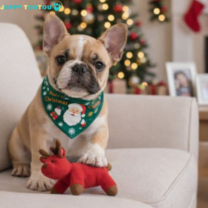 Bandana Chien | FestifBandz™ Égayez le Noël - Jappy Toutou