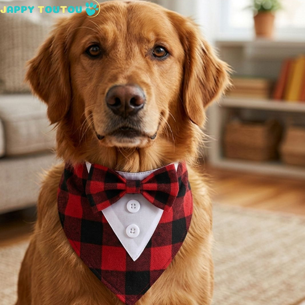 Bandana Chien • JappyFestif3™ Élégant Look irrésistible