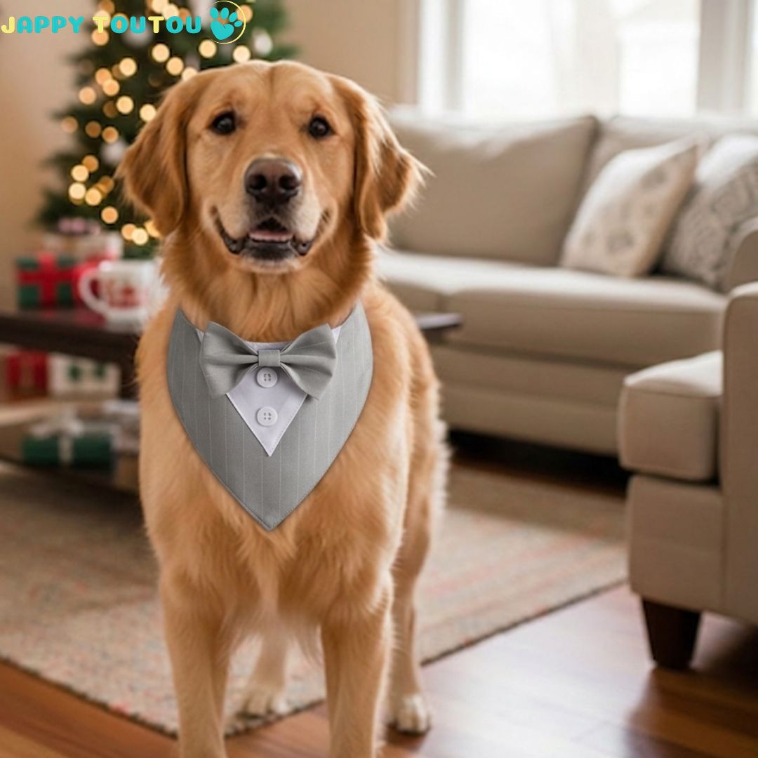Bandana Chien • Bandana JappyFestif™  Toute occasion