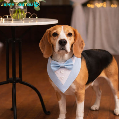 Bandana Chien • Bandana JappyFestif™  look recherchée de toute les fêtes