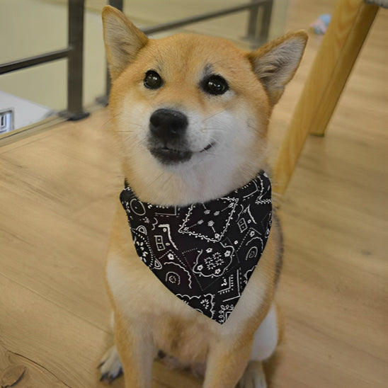 bandana_chien_toute_grandeur_toute-elegance_www.jappytoutou.com