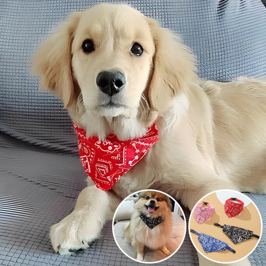 Bandana pour Chien, prêt pour l'Élégance