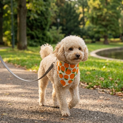 Bandana pour Chien - JappyBandan’Art™ :  plusieurs motifs colorés