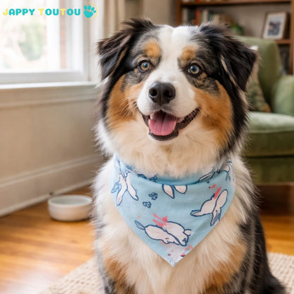 Bandana pour Chien | JappySunset Paw2™ :  réversible