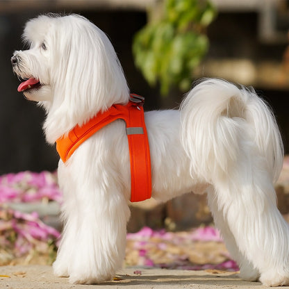 Harnais en y -  PETIT MOYEN CHIEN
www.jappytoutou.com