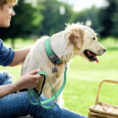 Collier chien BeauCol™ robustesse, confort et visibilité, besoins essentiels