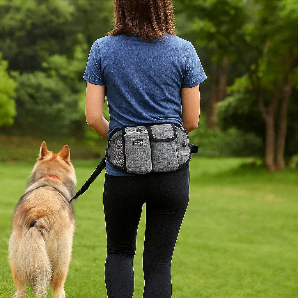 Laisse main libre pour chien SmartLeachBelt™ prêt à partir