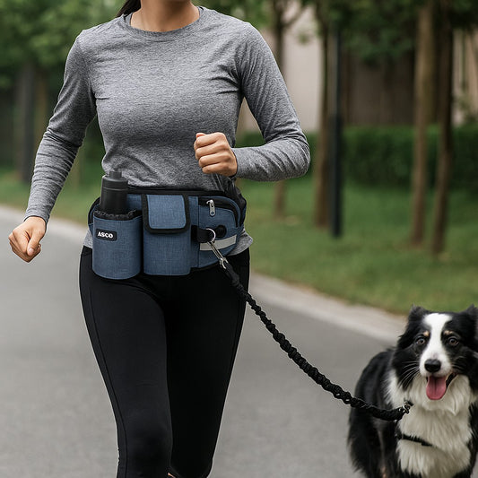 Laisse main libre pour chien SmartLeachBelt™ Actif et entrainement