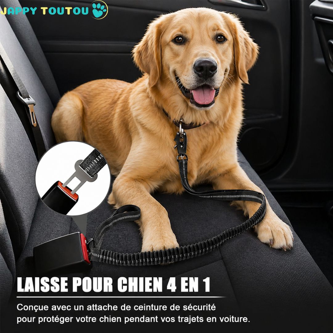 Ceinture de sécurité pour chien | JappySécureBalade™ : 4 en 1  