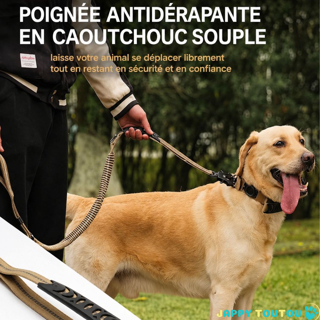 Ceinture de sécurité pour chien | JappySécureBalade™ : Poignée souple
