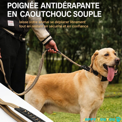 Ceinture de sécurité pour chien | JappySécureBalade™ : Poignée souple