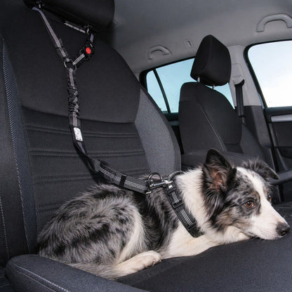 Ceinture de sécurité pour chien • JappyToutouSafe™ : Toute race et grandeur