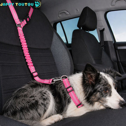 Ceinture de sécurité pour chien : installation simple pour protection maximale