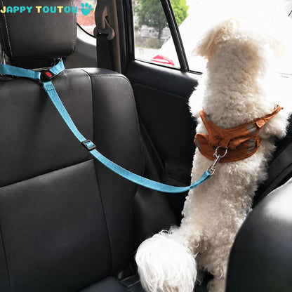 Ceinture de sécurité pour chien • JappyTrajet Serein™ : Disponible en plusieurs coloris