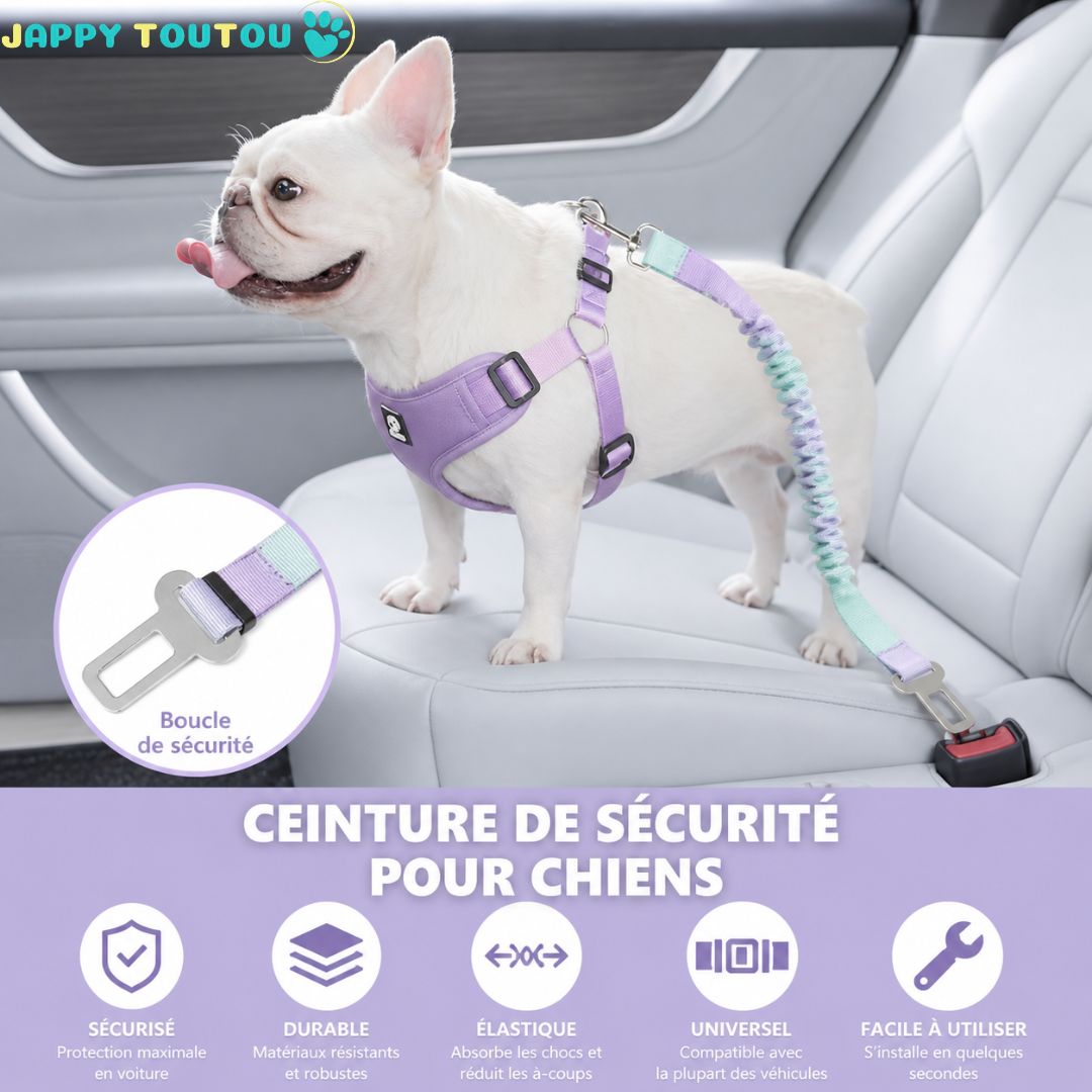 Ceinture de sécurité pour chien • Ceinture JappyVoyage™: Longueur ajustable