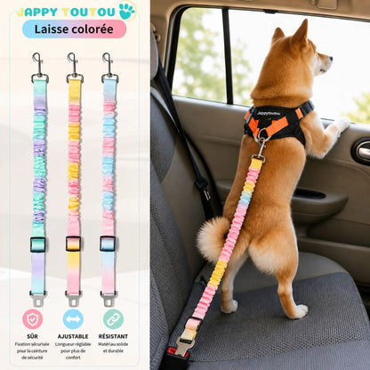 Ceinture de sécurité pour chien | JappyVoyage™