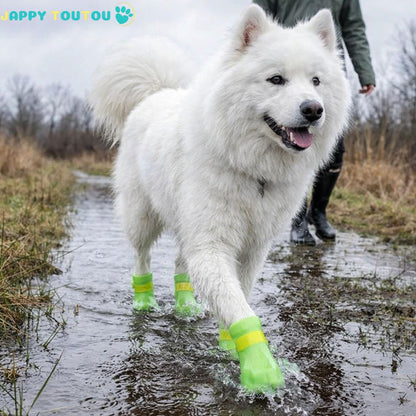 Chaussure chien : protégez ses pattes en toute saison